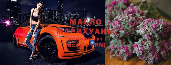 крисы Ветлуга