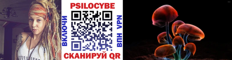 продажа наркотиков  Суджа  Псилоцибиновые грибы GOLDEN TEACHER 